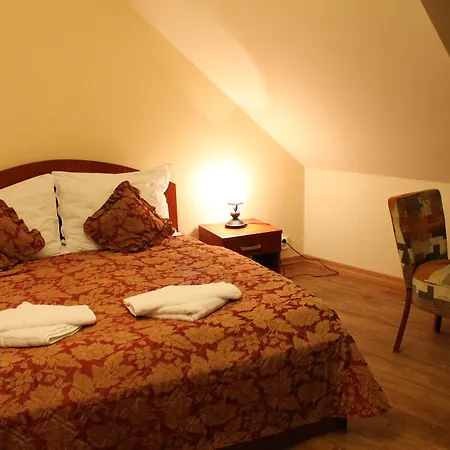 赢卓爱酒店 3* 比尔森