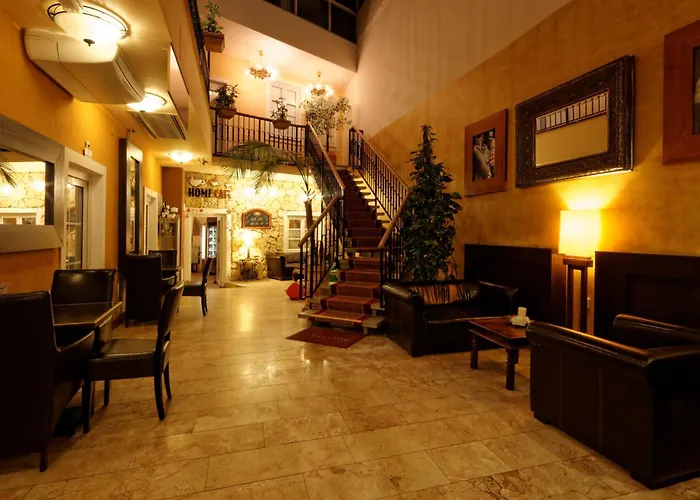 Hotel Enjoy 3*